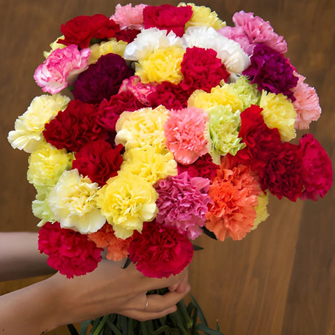 Graceful Mother's Day Carnation Flowers