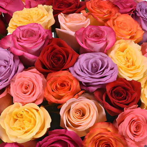 Mothers Day Wholesale Roses Choose Your Color